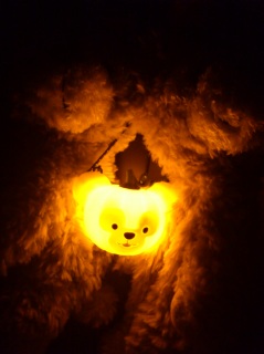 Happy Halloween