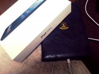 iPad mini
